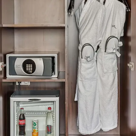 Mercure Paris Porte D'orleans 4* Montrouge