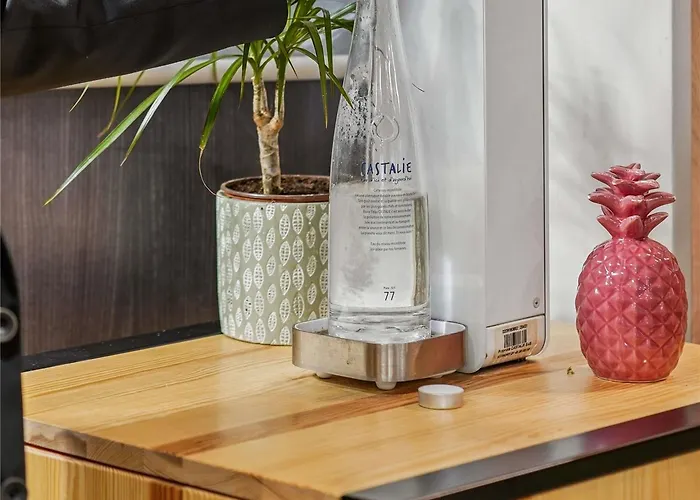 メルキュール パリ ポルト ドルレアン 4* モンルージュ