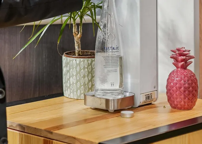 メルキュール パリ ポルト ドルレアン 4* モンルージュ